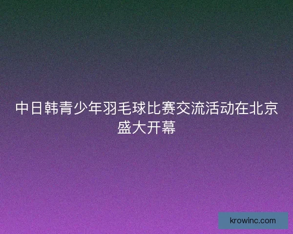 中日韩青少年羽毛球比赛交流活动在北京盛大开幕